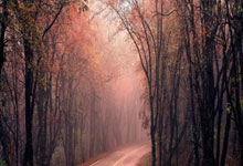 多多28：3-1，德甲第11掀翻德甲第3，31岁利物浦旧将发威，多特终结2连败.