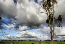 2024年中国路跑赛事749场、总规模超704万人次.