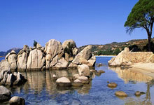 多多28：拒绝爆冷！张本智和2-0领先遭吉村真晴追平 好在决胜局2分制胜.